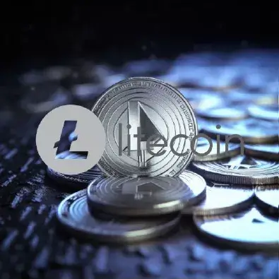 Букмекеры, принимающие оплату в Litecoin
